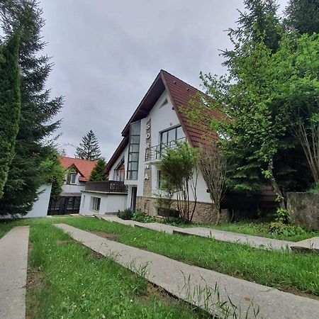 Vila Sorina Poiana Brasov Ngoại thất bức ảnh